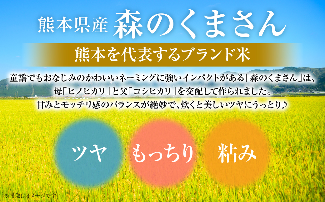 【令和7年産】 熊本県産 森のくまさん 10kg (5kg×2袋) オリジナルパッケージ 米 お米 精米 白米 ごはん ご飯 熊本