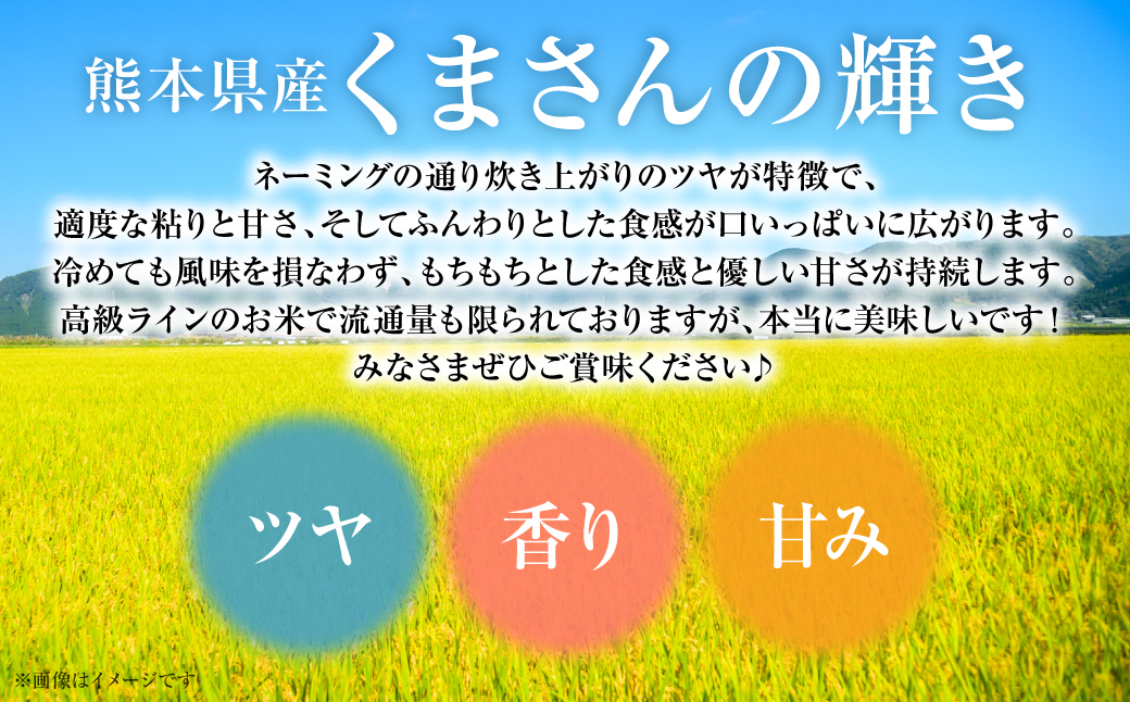 【令和7年産】 熊本県産 くまさんの輝き 5kg (5kg×1袋) 米 お米 精米 白米 ごはん ご飯 熊本県 八代市