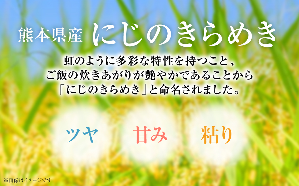 【令和7年産】  熊本県産 にじのきらめき5kg（5kg×1袋） 米 お米 精米 白米 ごはん ご飯 熊本