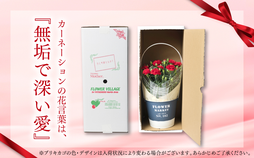 【先行予約】【2026年5月7日～8日発送】ポットカーネーション 赤 5号鉢 カゴ付き カーネーション 花 母の日 プレゼント ギフト 贈り物 熊本県 八代市