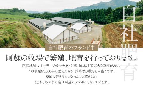 あか牛サーロインステーキセット (あか牛サーロインステーキ200g×2枚、あか牛のたれ200ml付き)