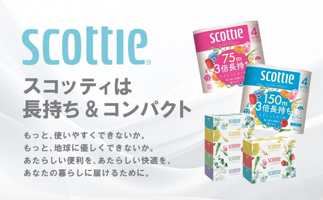 【スコッティ】 ティシュー フラワーボックス 250組 5箱パック×12 合計60箱 ティッシュ 日用品 生活必需品