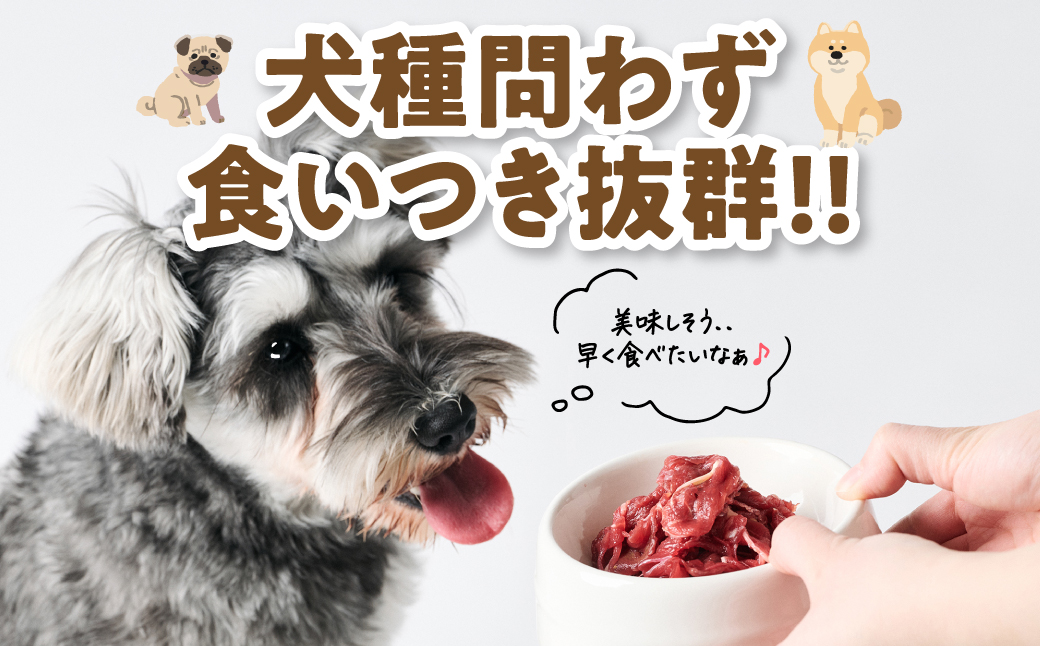 ペット用 馬肉切り落とし2kg 馬肉 ペットフード 愛犬 ドッグフード おやつ 食事 ごはん