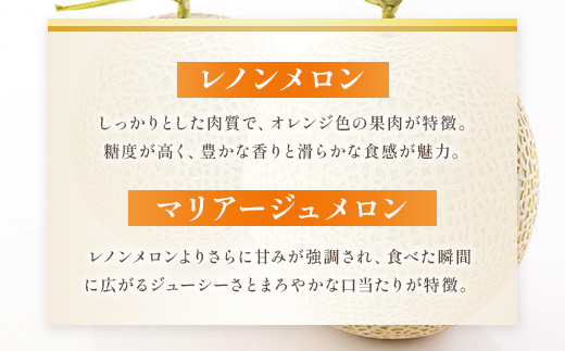 【先行予約】赤肉メロン（レノンまたはマリアージュメロン）約1.3kg 果物 くだもの 旬 ご褒美 季節の果物 赤肉 メロン 八代市産 【2026年6月中旬より順次発送】