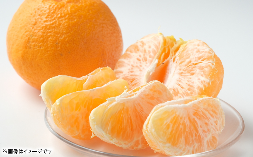 【先行予約】 不知火（デコポンと同品種） 約3kg しらぬい でこみかん 柑橘 ミカン ポンカン くだもの 果物 フルーツ 【2026年1月下旬より順次発送】