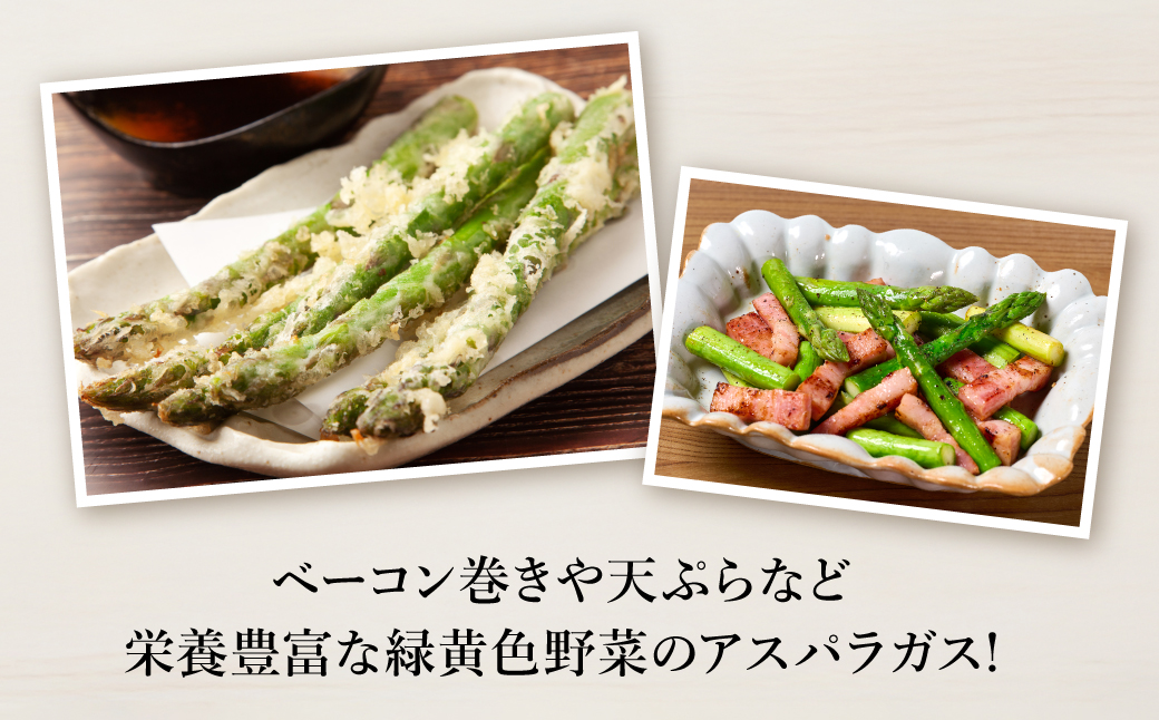 【先行予約】 熊本県 八代市産 アスパラガス 1kg 新鮮 アスパラ 野菜 やさい 旬 【2026年4月上旬より順次発送】