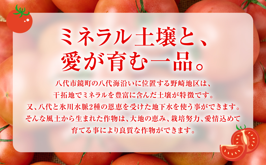 産地直送 俺たちの頂上トマト 3.5kg トマト とまと 野菜 やさい 旬 旬の野菜 新鮮な野菜 地元産野菜 熊本県 八代市