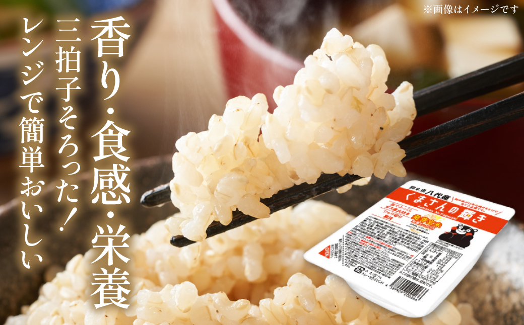 くまさんの輝き 発芽玄米 パックごはん 180g×24個入り 米 お米 コメ 熊本県産 国産 パックご飯 ひとり暮らし 非常食 防災 仕送り 備蓄