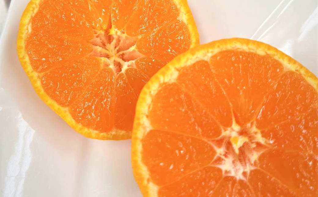 【訳あり】 熊本県八代市産 ご家庭用みかん5kg 蜜柑 柑橘 ミカン 