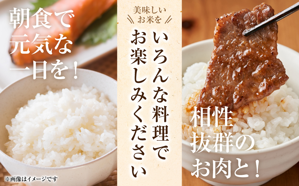 【定期便6回】 【令和7年産】 熊本県八代市産 森のくまさん 農家のとっておき 5kg×6回 米 お米 精米  国産 白米 ごはん ご飯