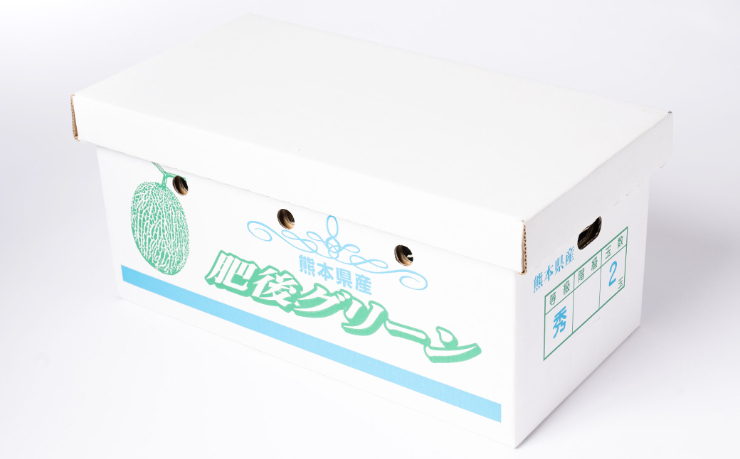 【先行予約】高糖度 2026年 八代産 肥後グリーンメロン 3Lサイズ以上 4～5玉 化粧箱入 お中元 夏 ギフト メロン めろん フルーツ 期間限定 【2026年5月中旬より順次発送】