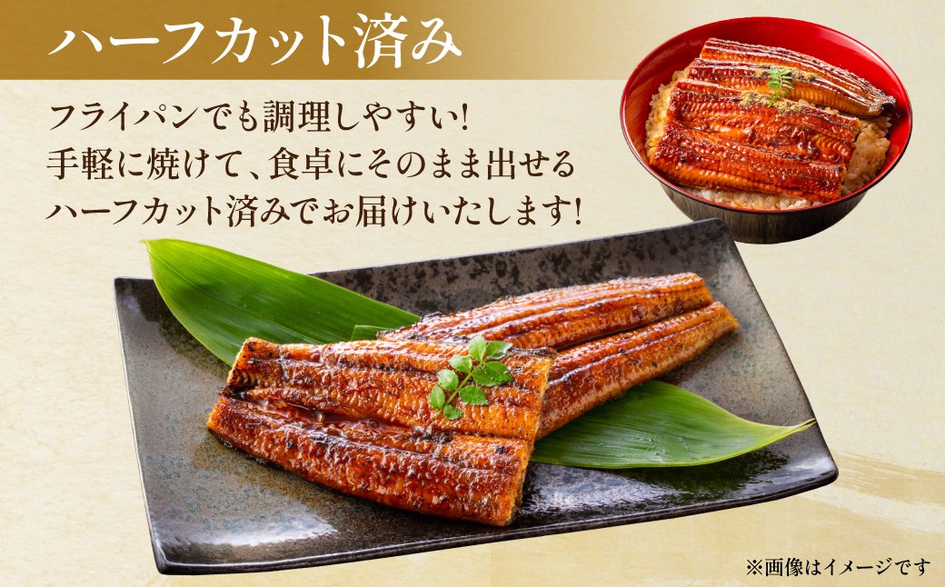 熊本県 八代市産 天然青うなぎの蒲焼 蒲焼セット 2尾（90g～110g×2） 自家製うなぎのタレ 鰻 ウナギ うなぎの蒲焼 丑の日 国産 うな丼 うな重