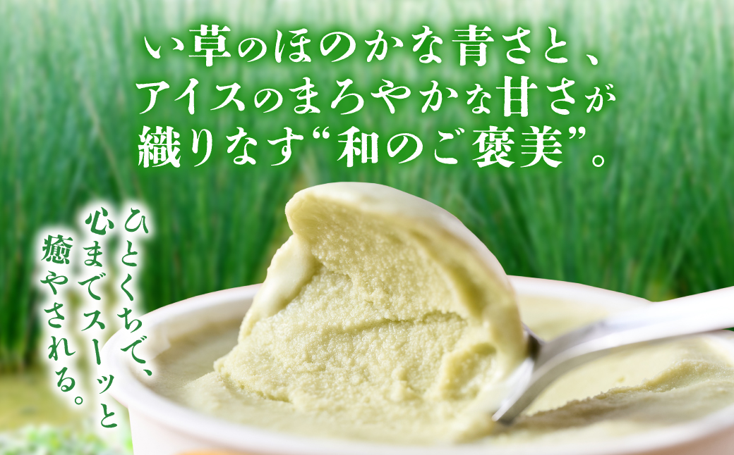 たたみアイス 8個入 いぐさ 畳 スイーツ いぐさミルク味 玄米味 食用いぐさ 和風アイス デザート おやつ ジャージー牛乳使用