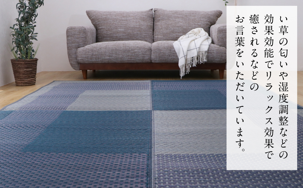 熊本県八代市産のい草を使って織り上げたラグ『DXモーニング』(サイズ：191cm×250cm)(カラー：ネイビー) 国産 イグサ 茣蓙 ござ ラグ カーペット 絨毯 マット 織物 敷き物 インテリア