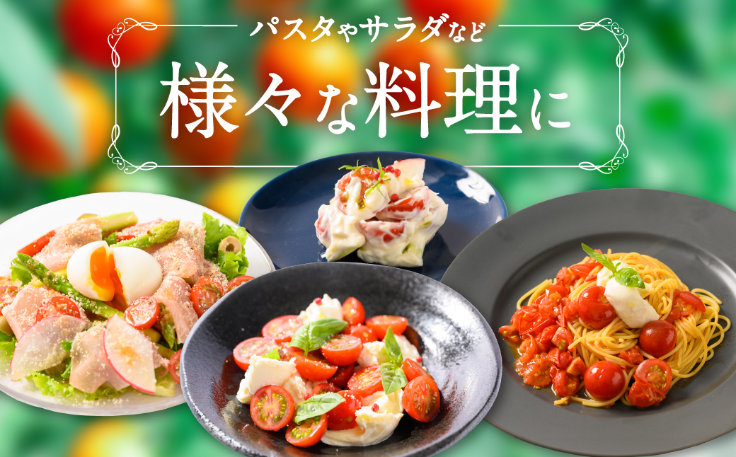 野菜ソムリエ岡田健志郎が育てた ミニトマト 1.2kg以上 トマト 野菜 熊本県産 新鮮 サラダ やさい とまと 八代市産 九州