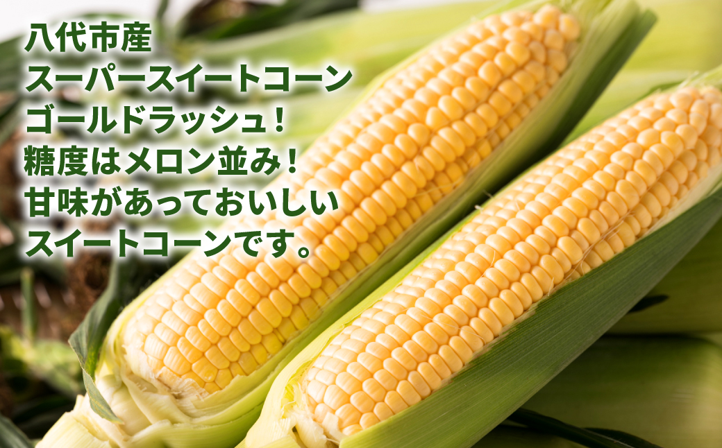 【先行予約】 熊本県八代市産 スーパースイートコーン ゴールドラッシュ 4kg 野菜ソムリエサミット 2年連続金賞受賞 スイートコーン とうもろこし コーン 朝採り 高糖度 【2026年5月上旬より順次発送】