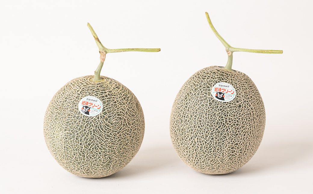 【先行予約】 熊本県八代市産 肥後グリーンメロン 2玉 (1玉1.8kg～2.2kg) メロン めろん 果物 くだもの フルーツ デザート 旬 青肉 ジューシー 甘い 【2026年6月中旬より順次発送】