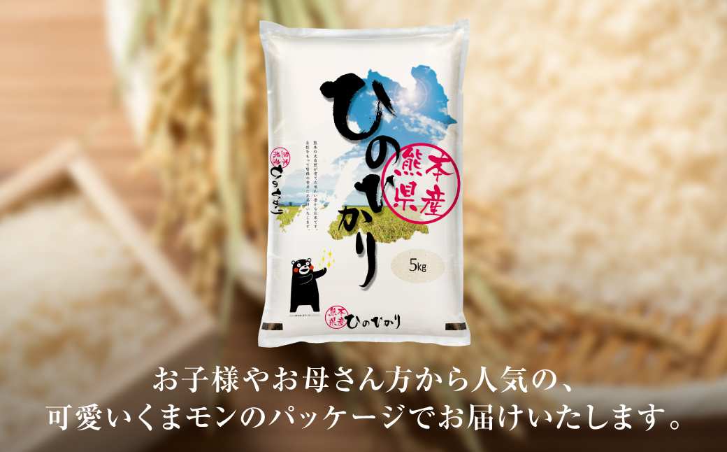 【令和7年産】 熊本県産 くまモンひのひかり 10kg (5kg×2袋) 米 お米 精米 白米 ごはん ご飯 熊本
