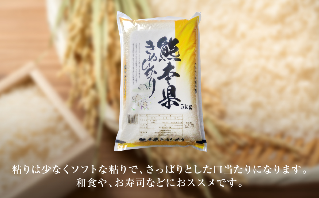 【令和7年産】 熊本県産 きぬひかり 10kg（5kg×2袋） 米 お米 精米 白米 ごはん ご飯 熊本