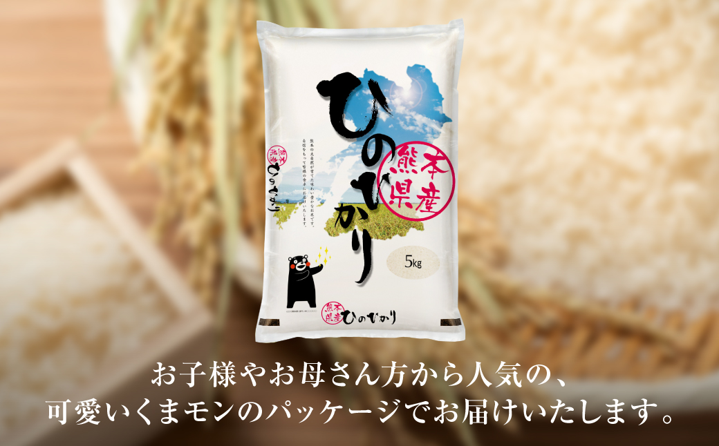【令和7年産】 熊本県産 くまモンひのひかり 5kg (5kg×1袋) 米 お米 精米 白米 ごはん ご飯 熊本