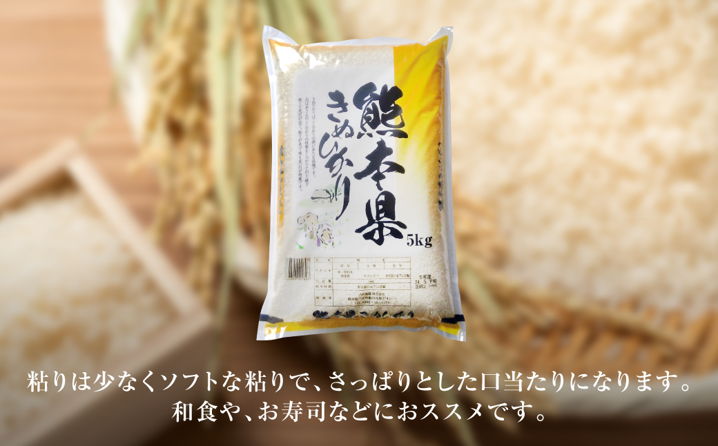【令和7年産】 熊本県産 きぬひかり 5kg（5kg×1袋） 米 お米 精米 白米 ごはん ご飯 熊本