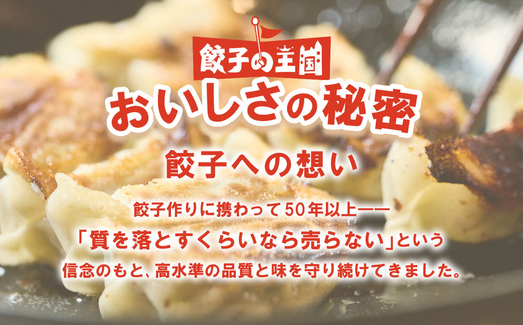【順次発送】 八代市東陽町の生姜を使った 餃子の王国 人気生餃子126個 ぎょうざ ギョウザ