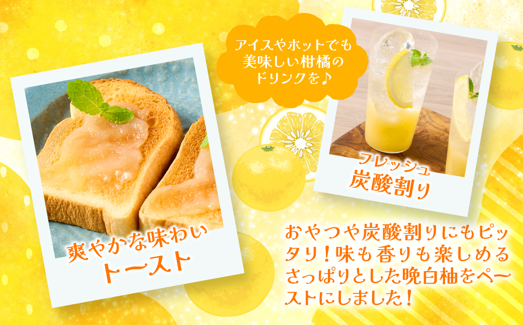 熊本県 八代市産 晩白柚 ペースト 「マキシト」2種セット（合計850g） ばんぺいゆ 柑橘 手作り ペースト ジャム フルーツソース ジュレ ピューレ 炭酸割り アイス ヨーグルト トースト パンケーキ