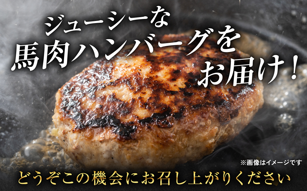 【定期便6回】 馬肉ハンバーグ 150g×10個 【熊本県産 ジャージー牛乳使用】 ハンバーグ おかず 惣菜 洋食 お肉 肉 にく 馬肉