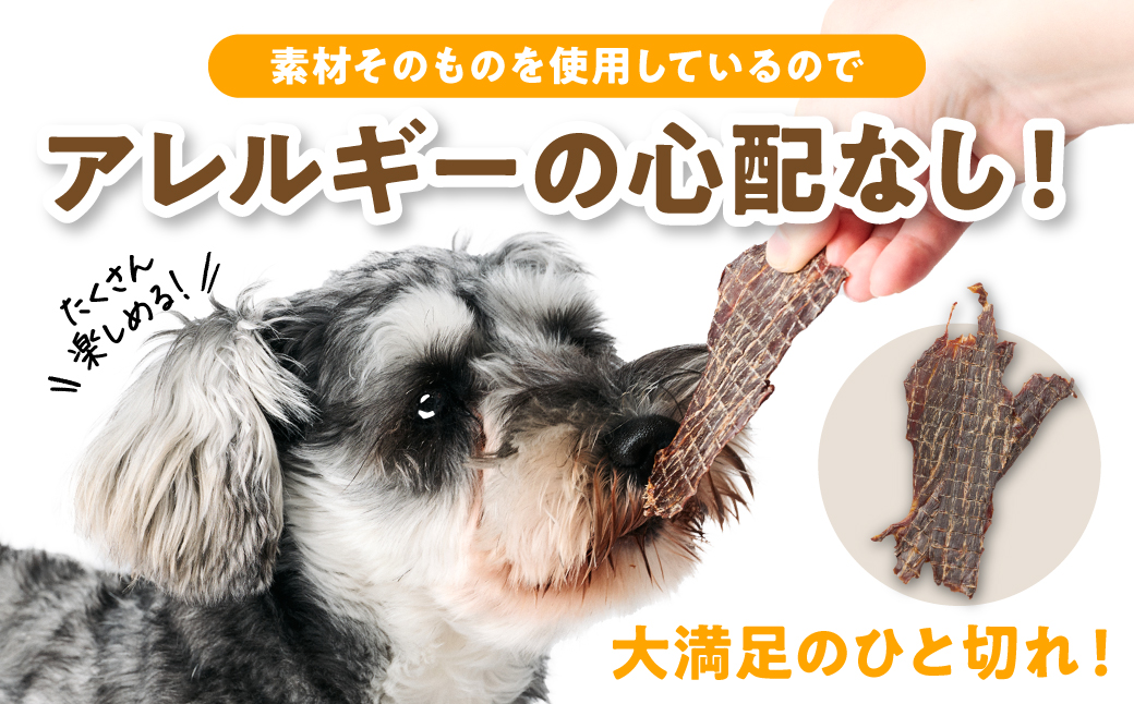 ペット用 馬刺しジャーキー100g  馬肉 ペットフード 愛犬 ドッグフード おやつ 食事 ごはん
