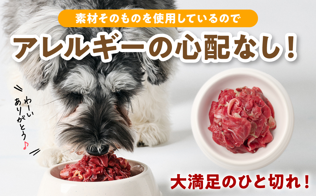 ペット用 馬肉切り落とし1kg 馬肉 ペットフード 愛犬 ドッグフード おやつ 食事 ごはん