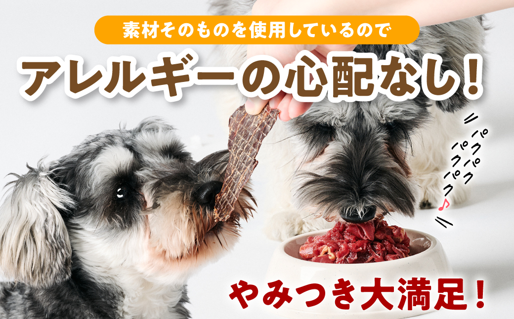ペット用 馬肉切り落とし1kg＆馬刺しジャーキー100g 馬肉 ペットフード 愛犬 ドッグフード おやつ 食事 ごはん