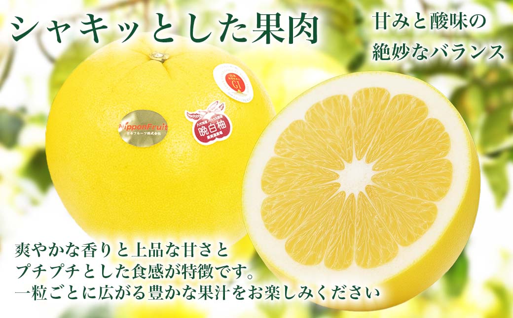 熊本県八代市産 晩白柚 Lサイズ 6玉入り 約9kg 果物 くだもの フルーツ 柑橘類 青果物 特産品 お取り寄せ