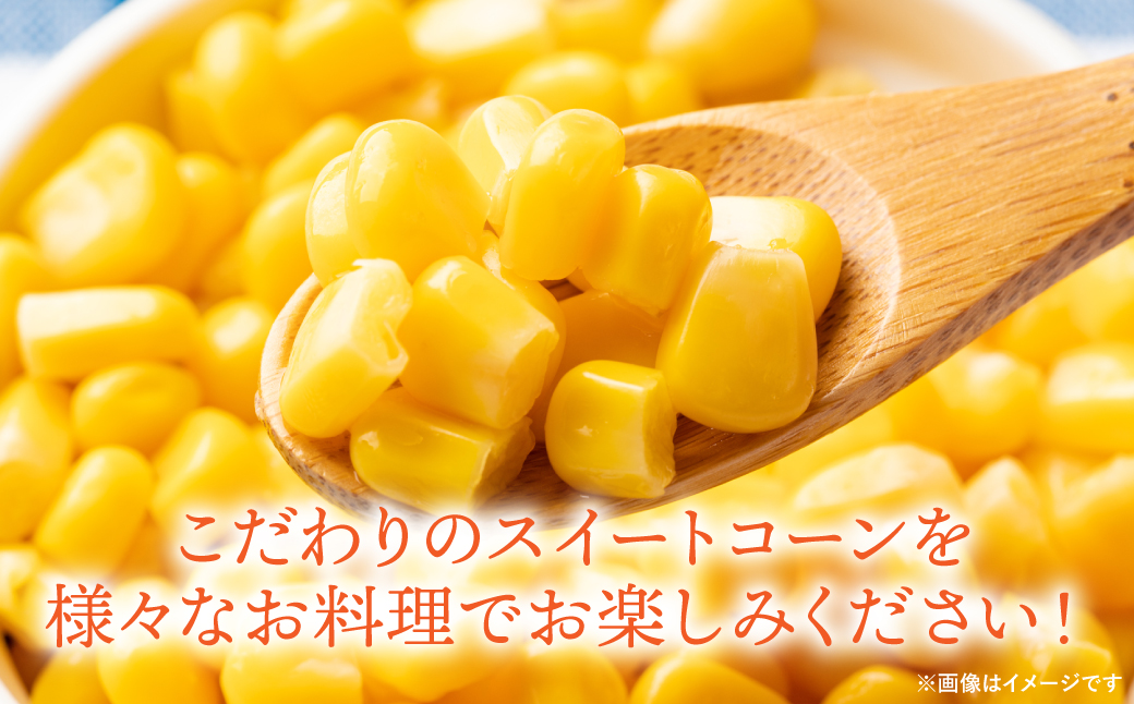 【先行予約】 スイートコーン5kg(11本～13本) ドルチェドリーム とうもろこし コーン 野菜 やさい 新鮮 冷蔵 BBQ おつまみ 【2026年5月中旬より順次発送】