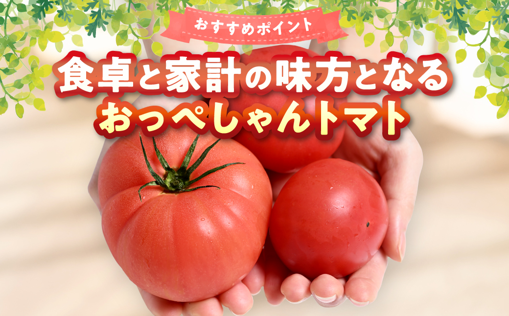 訳あり おっぺしゃんトマト 4kg トマト とまと 野菜 やさい 旬の野菜 地元産野菜 特産品 お取り寄せ 家庭用 食卓