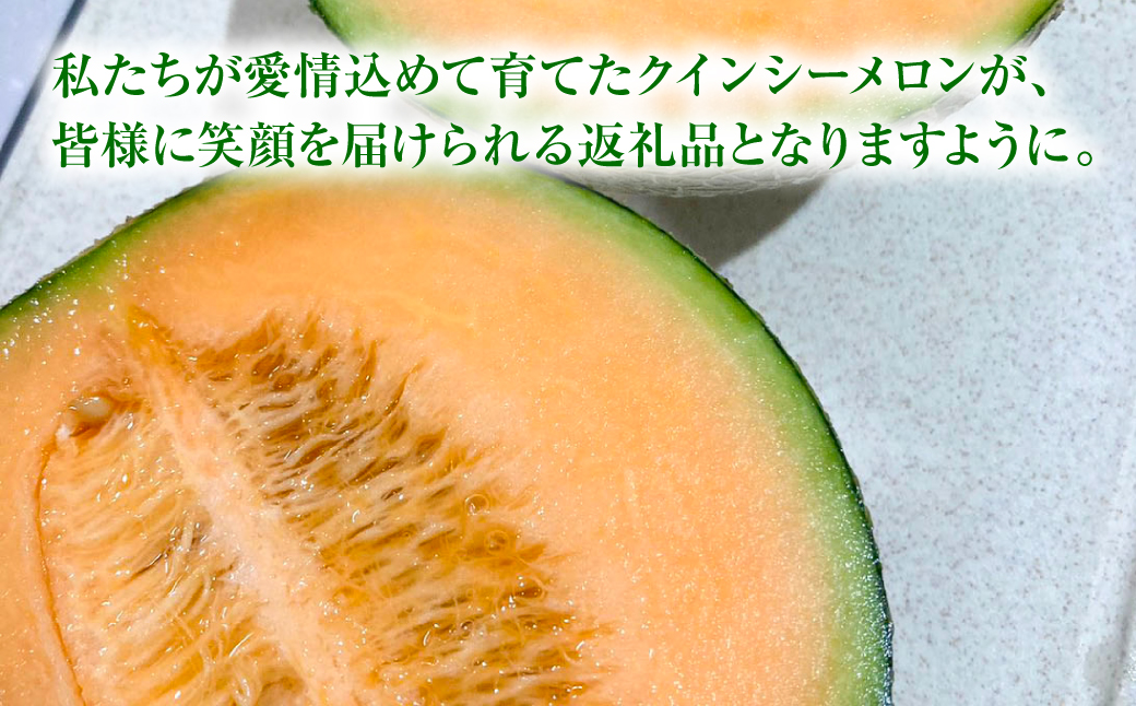 【先行予約】産地直送 クインシーメロン 2玉 約3kg クインシー メロン めろん 赤肉メロン 赤肉 果物 くだもの フルーツ デザート 贈り物 国産 熊本県 八代市【2026年5月下旬より順次発送】