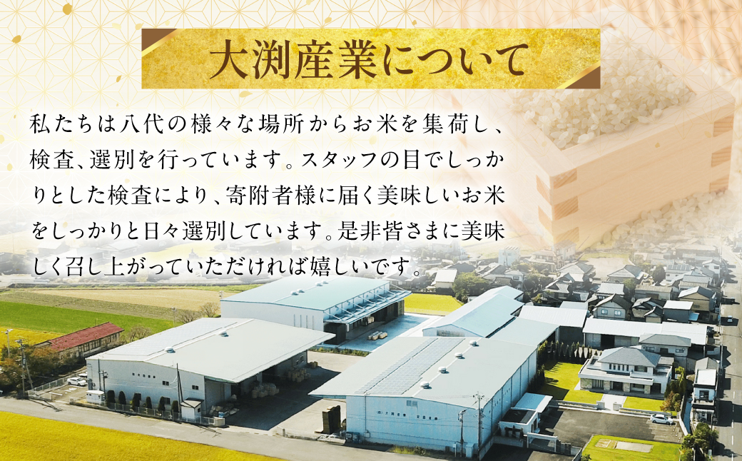 《令和7年産》くまさんの輝き 5kg×2袋 合計10kg  熊本県 八代市産 米 お米 精米 白米 国産
