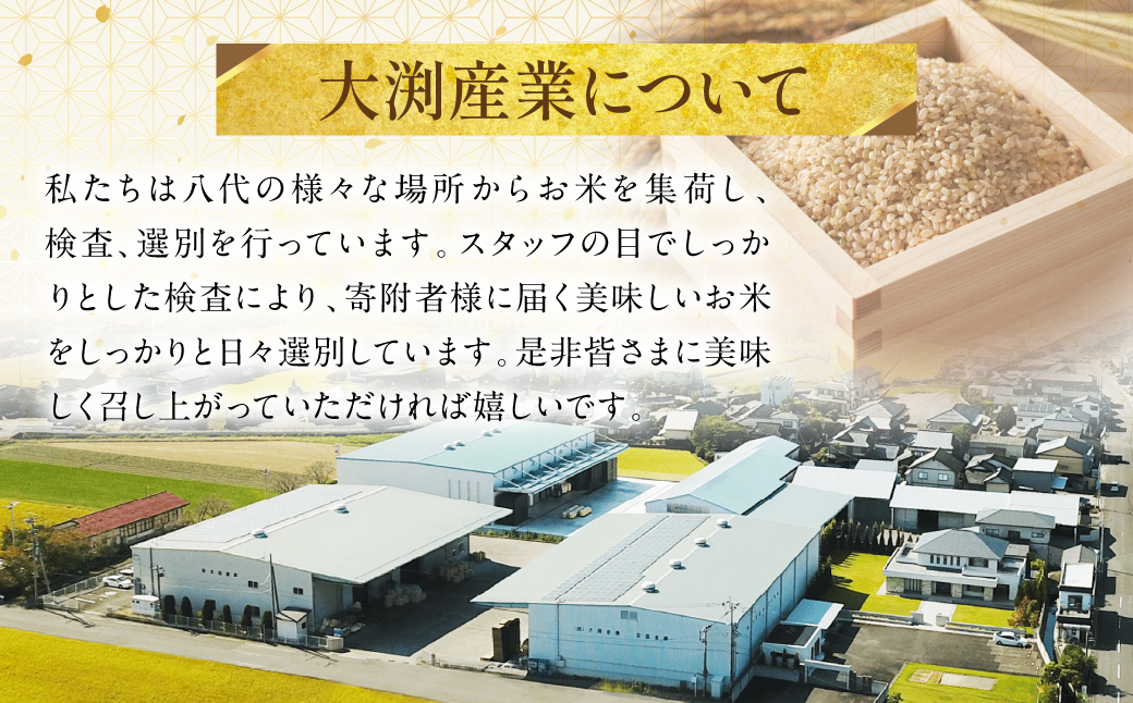 くまさんの輝き 発芽玄米 パックごはん 180g×24個入り 米 お米 コメ 熊本県産 国産 パックご飯 ひとり暮らし 非常食 防災 仕送り 備蓄