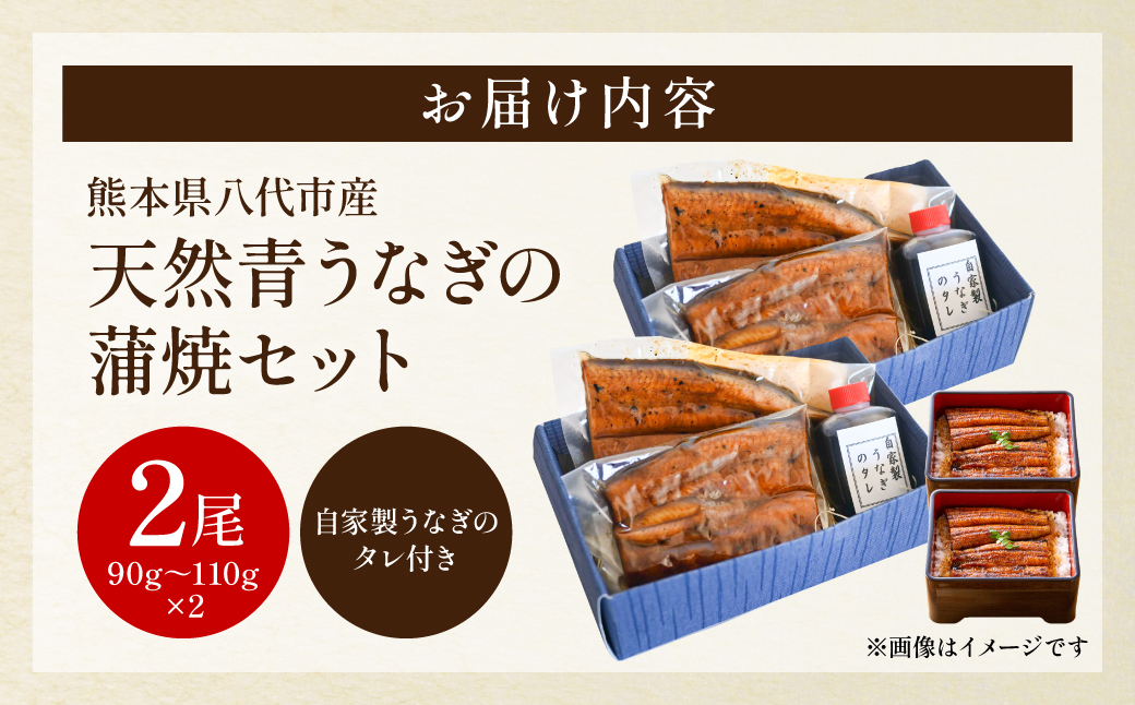 熊本県 八代市産 天然青うなぎの蒲焼 蒲焼セット 2尾（90g～110g×2） 自家製うなぎのタレ 鰻 ウナギ うなぎの蒲焼 丑の日 国産 うな丼 うな重
