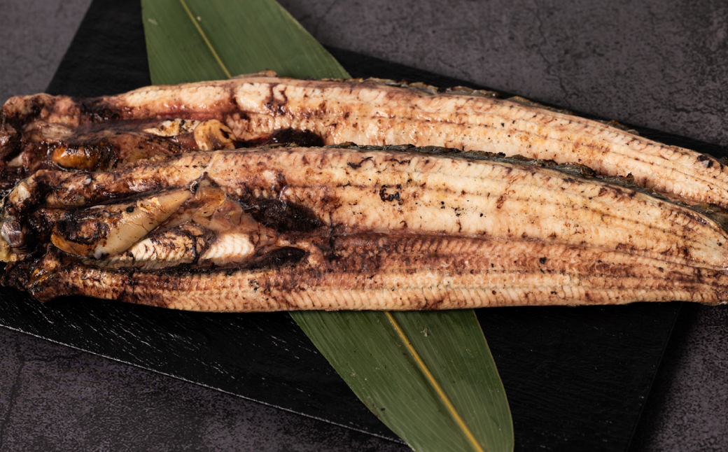 熊本県八代市産 天然うなぎ白焼き(中) 2本 (計300～350g) 蒲焼のたれ付き 鰻 国産 蒲焼 ウナギ うなぎ 冷凍