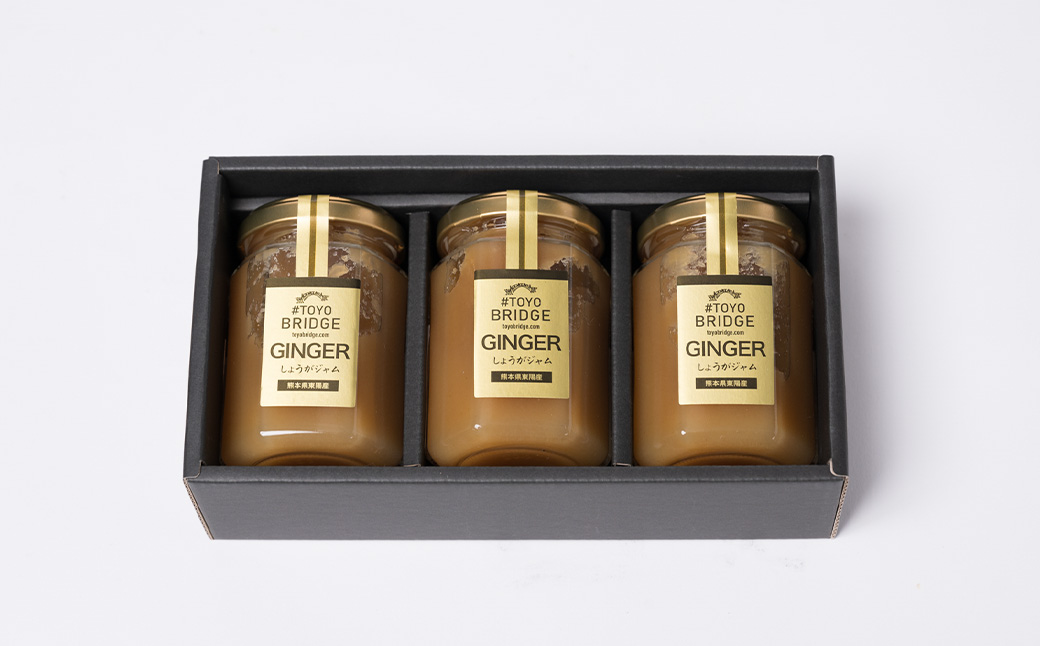 東陽町の生姜100％ 生姜ジャム3本セット 合計480ml (160ml×3本) しょうが ショウガ 温活 冷え対策 朝ごはん おやつ 熊本県 八代市