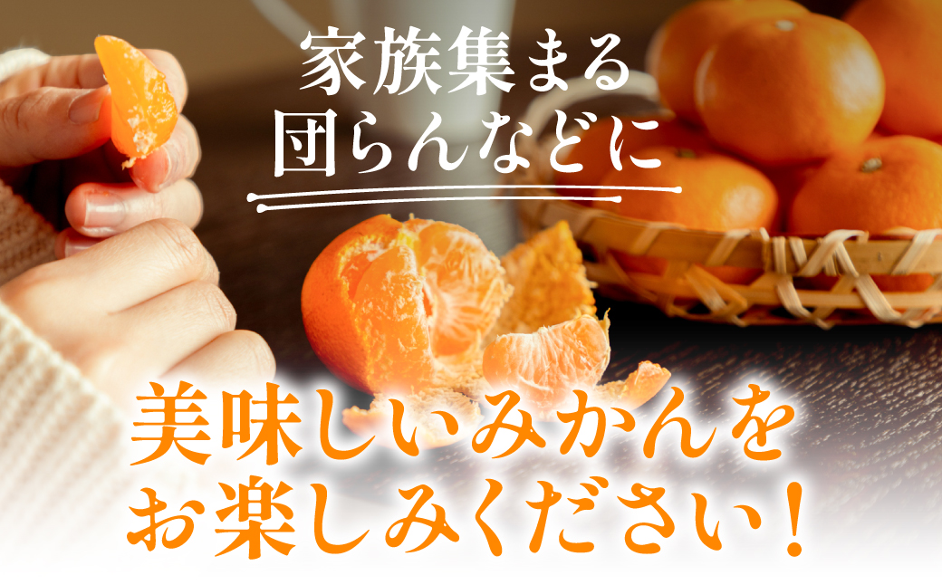 八代市 東陽産 EC12みかん 2kg以上入り(8玉～20玉)  柑橘 ミカン くだもの 果物 フルーツ デザート