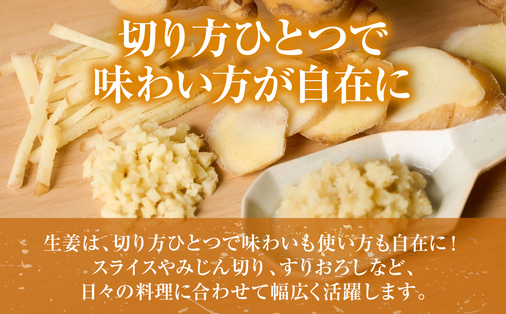 八郎生姜 2kg しょうが ショウガ ガリ ジンジャー 野菜 食品 薬味 生姜焼き しょうが焼き 温活 冷え性 対策 熊本県 八代市 東陽町 産地直送 国産