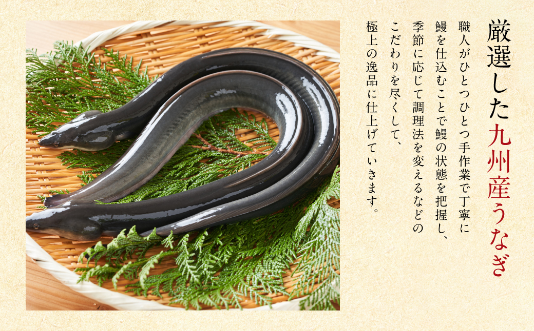 鰻丸(うなまる) 九州産 うなぎ蒲焼き3尾 ＆ 刻み蒲焼き2パックセット 鰻 ウナギ うなぎの蒲焼 丑の日 秘伝タレ 無頭 うな丼 うな重 ひつまぶし