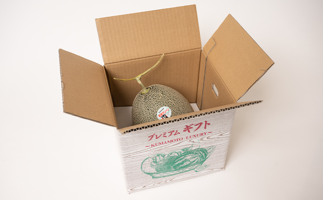 【先行予約】 熊本県八代市産 肥後グリーンメロン 特大1玉 (2.2kg以上) メロン めろん 果物 くだもの フルーツ デザート 旬 青肉 ジューシー 甘い 【2026年6月中旬より順次発送】