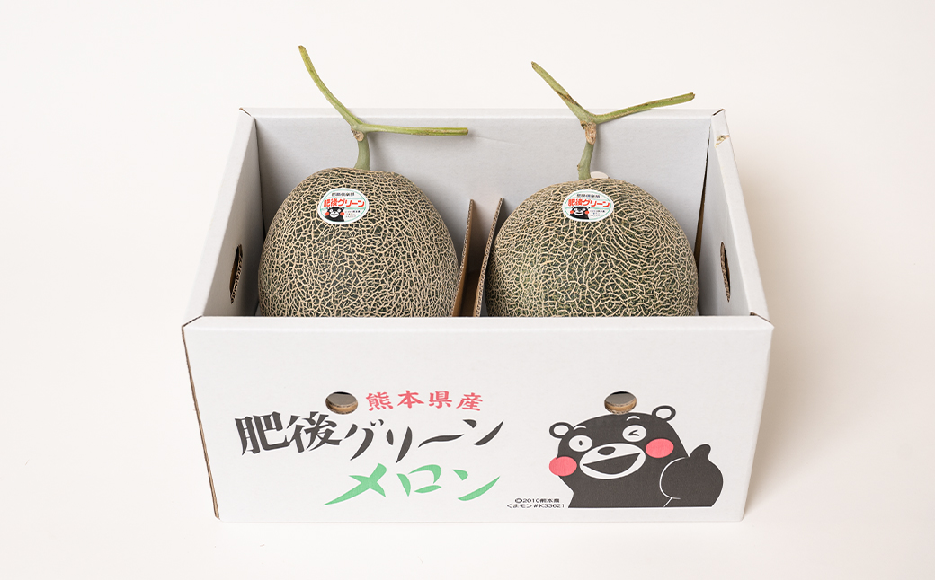 【先行予約】 熊本県八代市産 肥後グリーンメロン 2玉 (1玉1.8kg～2.2kg) メロン めろん 果物 くだもの フルーツ デザート 旬 青肉 ジューシー 甘い 【2026年6月中旬より順次発送】