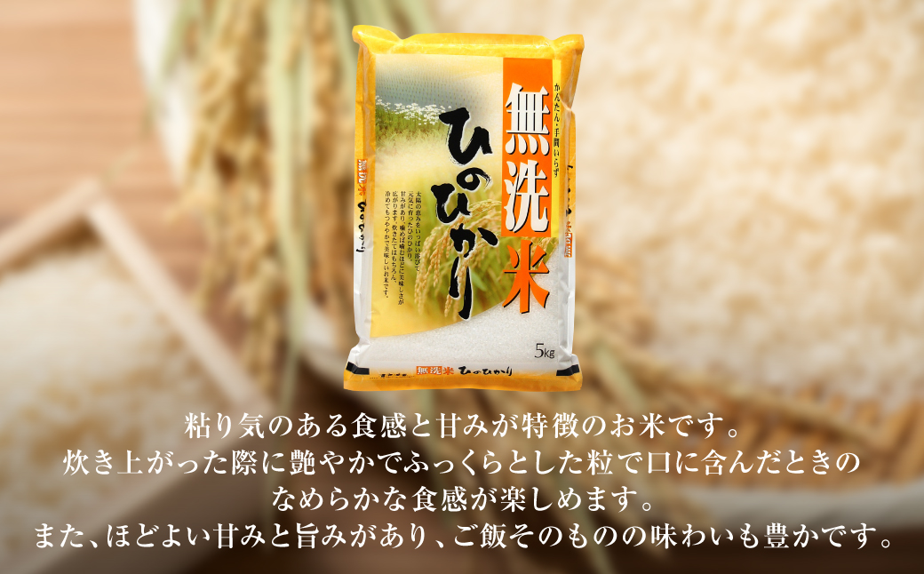 【令和7年産】 熊本県産 無洗米 熊本ひのひかり 5kg (5kg×1袋) 米 お米 精米 白米 ごはん ご飯 熊本