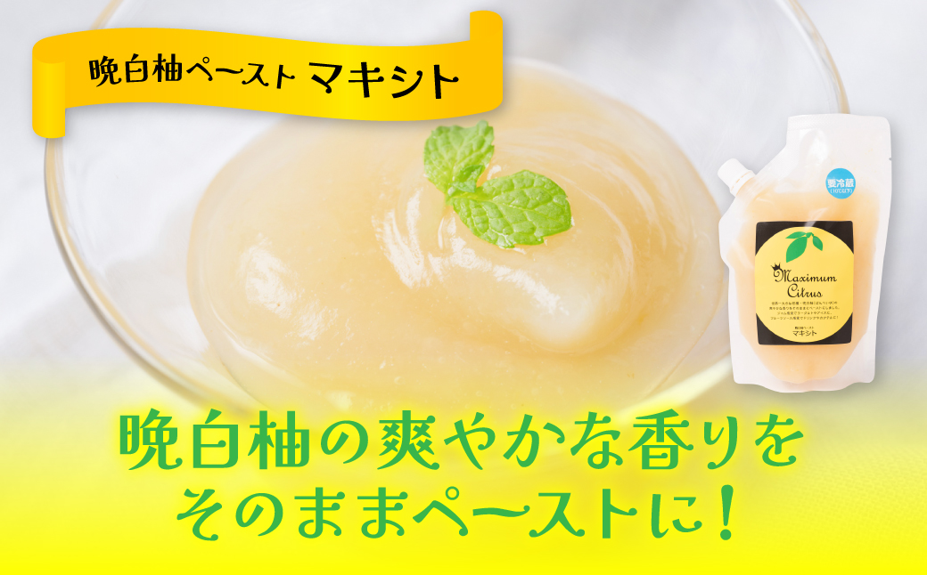 熊本県 八代市産 晩白柚 ペースト 「マキシト」2種セット（合計850g） ばんぺいゆ 柑橘 手作り ペースト ジャム フルーツソース ジュレ ピューレ 炭酸割り アイス ヨーグルト トースト パンケーキ