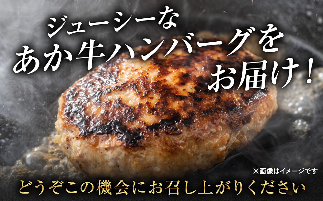 熊本県産あか牛100％ 手づくり！ハンバーグ 150g×10個 計1.5kg