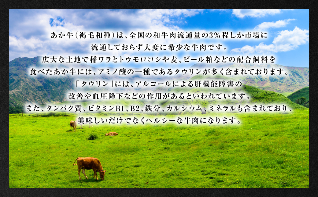 GI認証くまもとあか牛 ロースステーキ 約500g 和牛 ロース ステーキ 牛肉