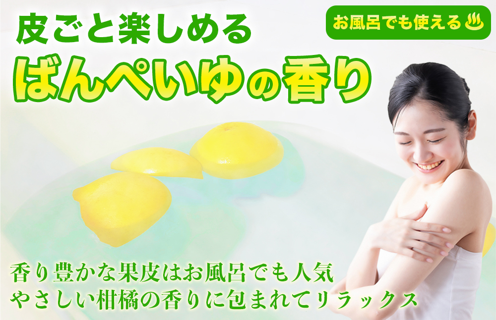 【先行予約】 熊本県八代市産 晩白柚 Lサイズ 1玉入り 約1.5kg 果物 くだもの フルーツ 柑橘類 青果物 特産品 お取り寄せ 【2025年12月中旬より順次発送】